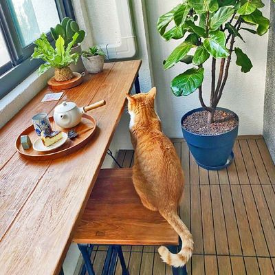 বহুমুখী কাঠের ডেক টাইলস বহিরঙ্গন ব্যবহারের জন্য জলরোধী স্কয়ার